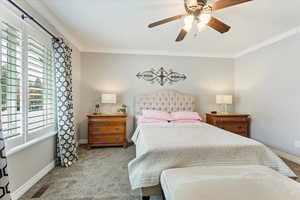 Carpeted bedroom with ceiling fan, plantation shutters and crown molding