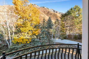 Mountain views from balcony