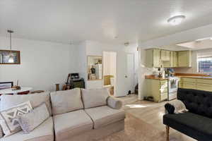 Living room featuring light hardwood / wood-style flooring and sink