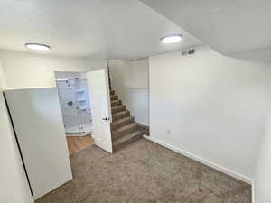 Basement featuring carpet