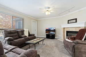 Carpeted living room with crown molding, ceiling fan, and track lighting