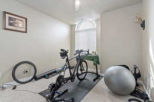 Exercise room featuring carpet