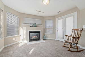 Living area featuring light colored carpet