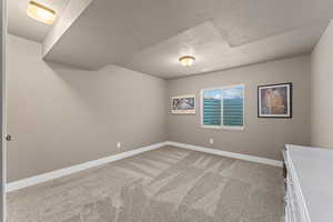 Interior space with carpet flooring and a textured ceiling