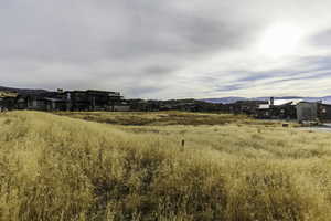 View of yard with a mountain view