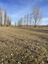 View of local wilderness featuring a rural view