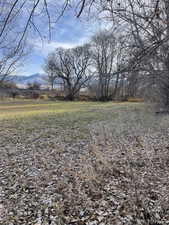 View of yard with a mountain view