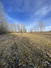 View of local wilderness with a rural view