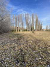 View of yard with a rural view