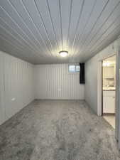 Basement featuring carpet and wooden walls