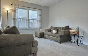 Living room featuring carpet flooring and a textured ceiling