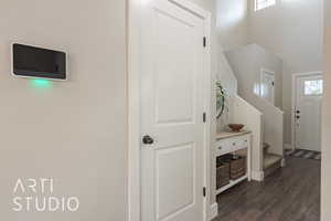 Foyer featuring plenty of natural light and dark hardwood / wood-style floors