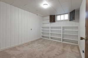 Basement with light colored carpet and wooden walls