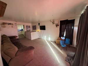 View of carpeted living room