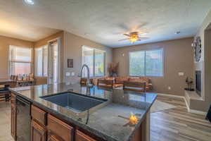 Kitchen with dishwasher, sink, dark stone countertops, light hardwood / wood-style floors, and a kitchen island with sink