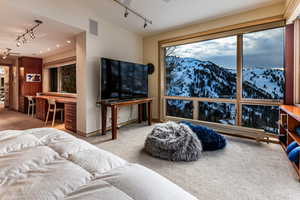 Carpeted living room featuring rail lighting