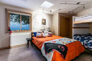 Bedroom featuring carpet flooring, track lighting, a closet, and a skylight