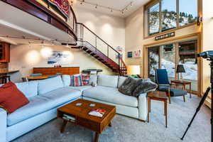 Carpeted living room featuring a high ceiling and rail lighting