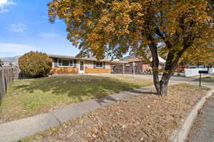 Ranch-style house featuring a front yard and a carport