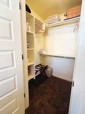 Spacious closet featuring carpet