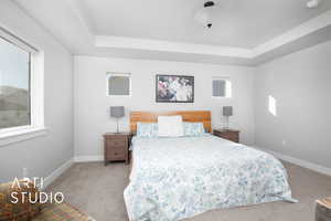 Primary  featuring a raised ceiling, multiple windows, and light carpet