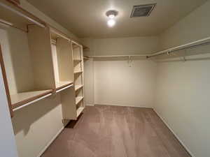 Spacious closet featuring carpet floors