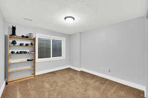 Carpeted spare room with a textured ceiling