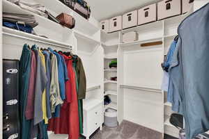 Spacious closet featuring carpet floors