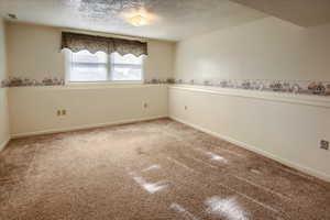 Spare room featuring carpet and a textured ceiling