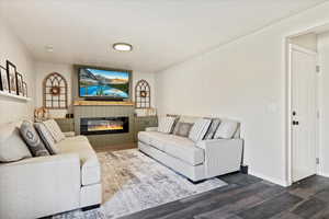 Living room featuring dark wood-type flooring