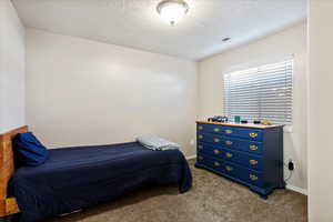 Carpeted bedroom featuring a textured ceiling