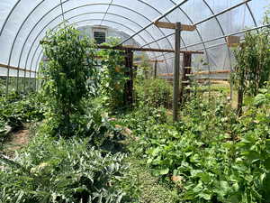 Greenhouse