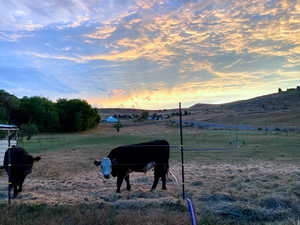 Beautiful mountains and sunsets. Great pasture for raising animals