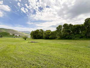 Northwest area of pasture. Can be watered with secondary water.