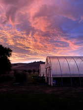 Yard at dusk