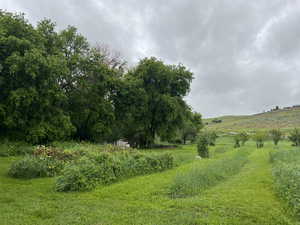 View of local wilderness featuring a rural view