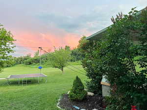 Yard at dusk on the south side