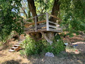 Treehouse