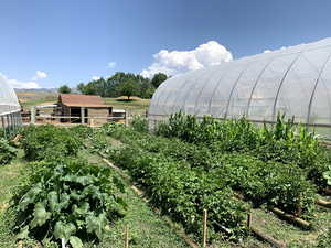 Garden area between the two greenhouses