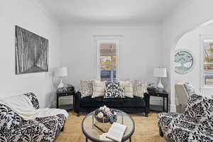 Carpeted living room featuring ornamental molding