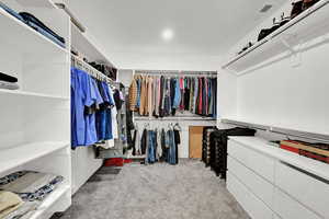 Spacious closet featuring carpet