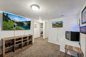 Cinema room featuring carpet and a textured ceiling