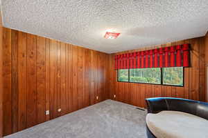 Unfurnished room featuring carpet flooring, a textured ceiling, and wood walls