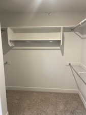 Spacious closet with carpet floors