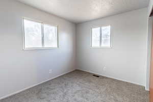 Unfurnished room featuring light carpet, a textured ceiling, and plenty of natural light