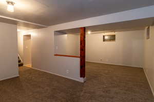 Basement family room and entertainment/media room