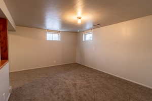 Basement with plenty of natural light, carpet floors, and a textured ceiling