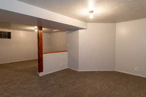 Basement entertainment/media room and family room