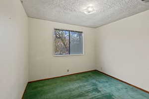 Spare room with carpet floors and a textured ceiling