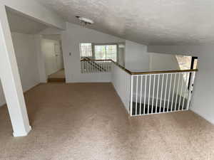 Additional living space with lofted ceiling, light colored carpet, and a textured ceiling